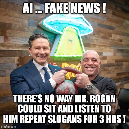 Canadian politics | image tagged in political meme | made w/ Imgflip meme maker