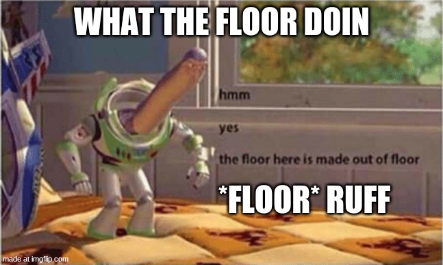 hmm this floor is made of floor what the floor doin | what the floor doin; *floor* ruff | image tagged in hmm yes the floor here is made out of floor | made w/ Imgflip meme maker