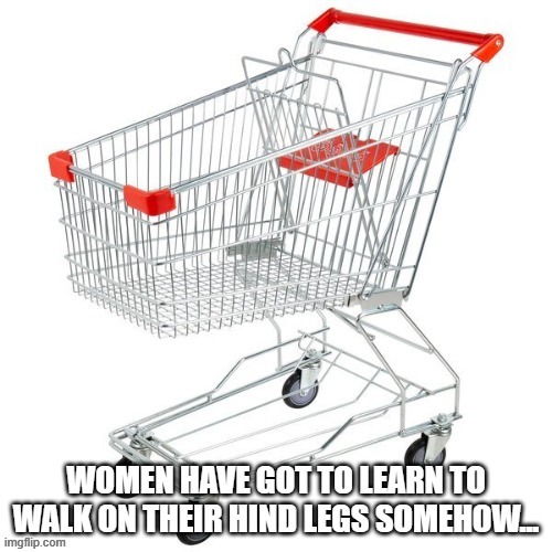 If you ever wondered why these are a thing.. | image tagged in shopping cart,inventions,misogyny,sexist,women,offensive | made w/ Imgflip meme maker