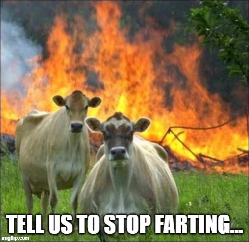 Revenge of the Cows! | image tagged in cows,farting,fire,rebellion,protest | made w/ Imgflip meme maker