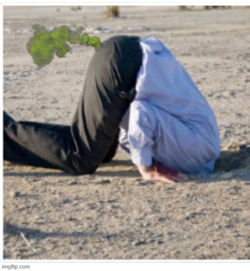 Embarrassed Farter | image tagged in farts,ostrich,embarrassing | made w/ Imgflip meme maker