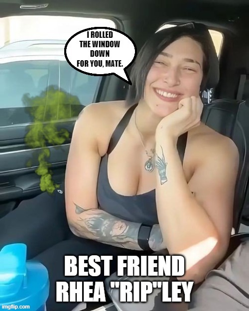 Good friends are hard to come by.. | image tagged in best friends,ripley,farted,car,window | made w/ Imgflip meme maker