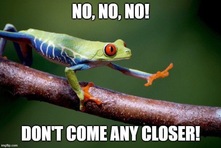 Socially distant frog. | image tagged in social distancing,frog,space | made w/ Imgflip meme maker