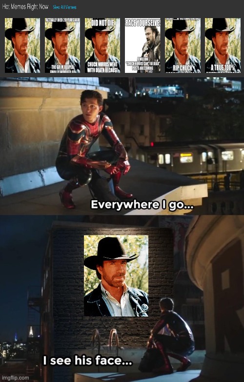 chuck norris mitotis | image tagged in everywhere i go i see his face | made w/ Imgflip meme maker