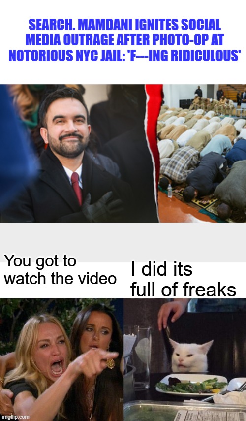 Search. Mamdani ignites social media outrage after photo-op at notorious NYC jail: 'F---ing ridiculous'; You got to watch the video; I did its full of freaks | image tagged in memes,woman yelling at cat | made w/ Imgflip meme maker