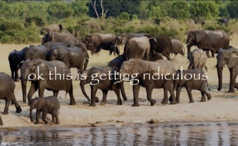 ok this is getting ridiculous | image tagged in ok this is getting ridiculous | made w/ Imgflip meme maker