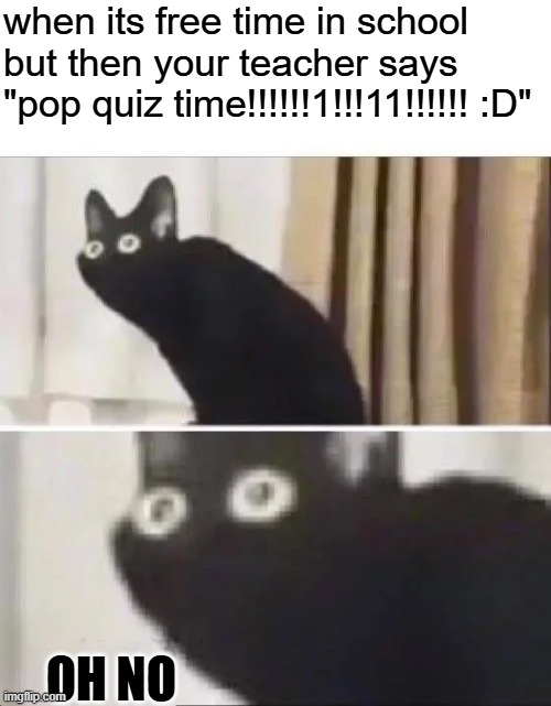 hate this SOOOOOOO much | when its free time in school but then your teacher says "pop quiz time!!!!!!1!!!11!!!!!! :D"; oh no | image tagged in oh no black cat,hilarious memes,memes,funny memes,oh no,cat | made w/ Imgflip meme maker