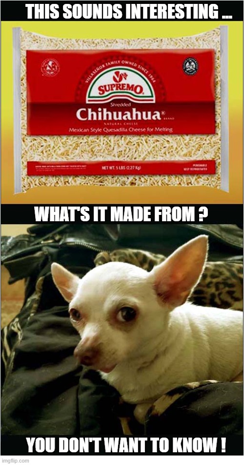 Chihuahua Cheese ? | This sounds interesting ... What's it made from ? You don't want to know ! | image tagged in dogs,chihuahua,cheese | made w/ Imgflip meme maker
