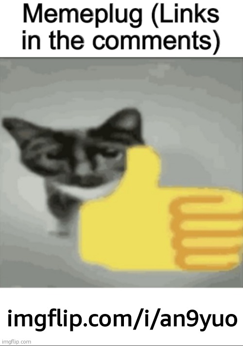 memeplug | imgflip.com/i/an9yuo | image tagged in memeplug | made w/ Imgflip meme maker