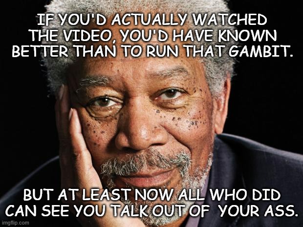 morgan freeman | If you'd actually watched
the video, you'd have known
better than to run that gambit. But at least now all who did can see you talk out of   | image tagged in morgan freeman | made w/ Imgflip meme maker
