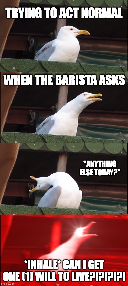 Inhaling Seagull | TRYING TO ACT NORMAL; WHEN THE BARISTA ASKS; "ANYTHING ELSE TODAY?"; *INHALE* CAN I GET ONE (1) WILL TO LIVE?!?!?!?! | image tagged in memes,inhaling seagull | made w/ Imgflip meme maker