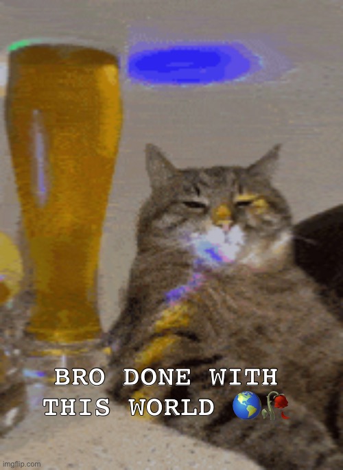 He done lol | Bro done with this world 🌎🥀 | image tagged in memes,funny cats | made w/ Imgflip meme maker