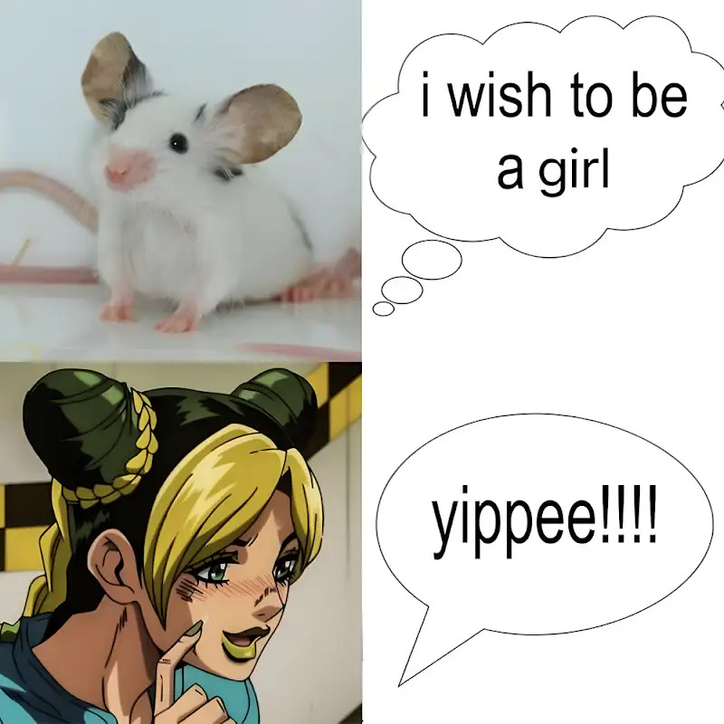 I wish if... Blank Meme Template