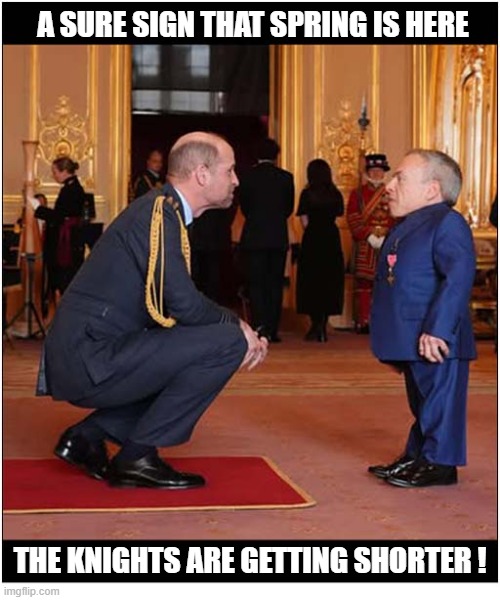 A Royal Announcement ... | A sure sign that spring is here; the knights are getting shorter ! | image tagged in royal,announcement,play on words,warwick davis | made w/ Imgflip meme maker