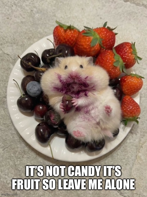 Caught Purple-handed. | It’s not candy it’s fruit so leave me alone | image tagged in funny memes,fruit | made w/ Imgflip meme maker