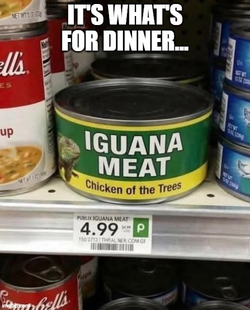 Iguana Anyone? | It's what's for dinner... | image tagged in cursed image | made w/ Imgflip meme maker