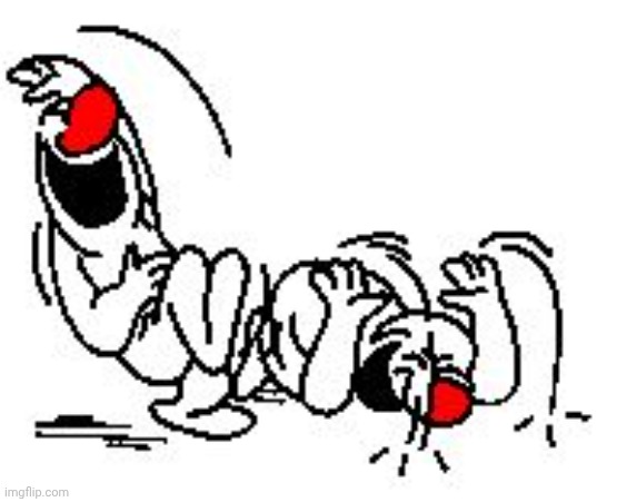 image tagged in lol hysterically | made w/ Imgflip meme maker