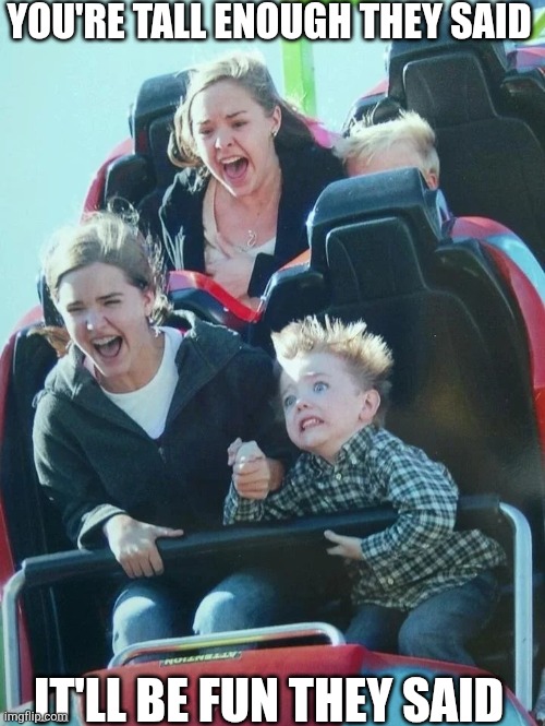 You're Tall Enough They Said | You're tall enough they said; It'll Be Fun They Said | image tagged in chrisjoines1 | made w/ Imgflip meme maker