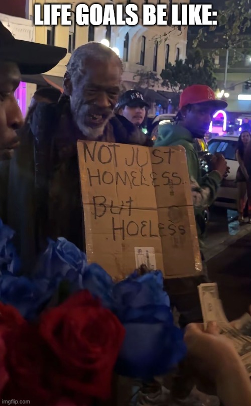 Goals | Life goals be like: | image tagged in funny,memes | made w/ Imgflip meme maker