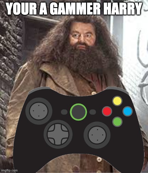 your a gammer harry | made w/ Imgflip meme maker