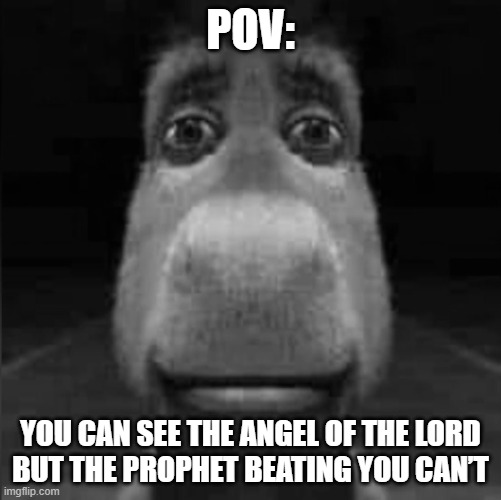 Ain't no way | POV:; you can see the Angel of the Lord
but the prophet beating you can’t | image tagged in donkey stare | made w/ Imgflip meme maker