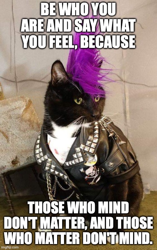 Punk kitty channeling Bernard Baruch | Be who you are and say what you feel, because; those who mind don't matter, and those who matter don't mind. | image tagged in kitty with a mohawk,punk rock,punk,individuality,rebel | made w/ Imgflip meme maker