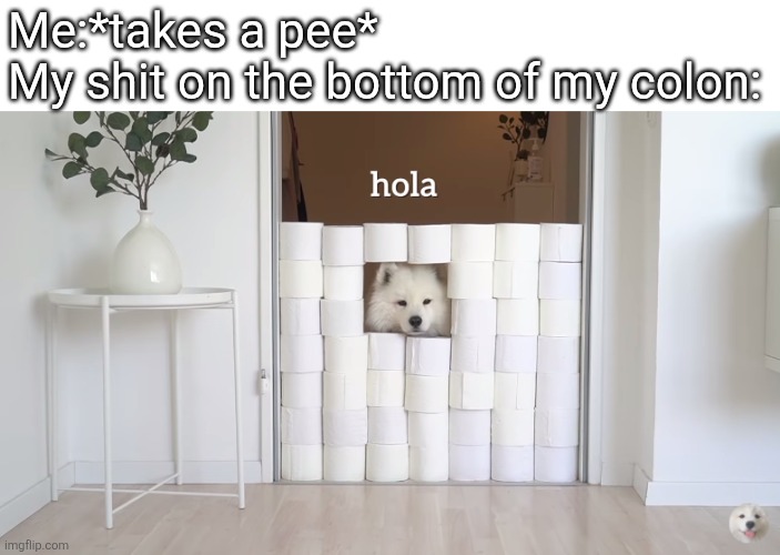 hola | Me:*takes a pee*
My shit on the bottom of my colon: | image tagged in hola | made w/ Imgflip meme maker