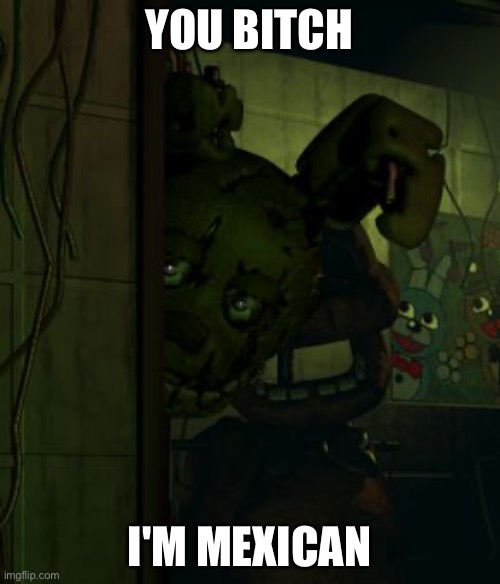 springtrap in door | You bitch I'm mexican | image tagged in springtrap in door | made w/ Imgflip meme maker