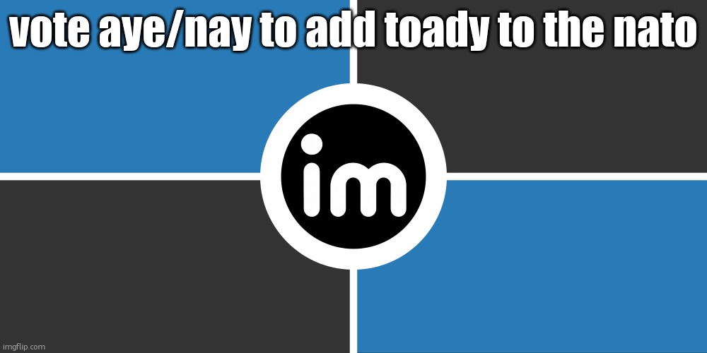 Aye (Auditor's note) | vote aye/nay to add toady to the nato | image tagged in flag of the imgnato by noublacksmith | made w/ Imgflip meme maker