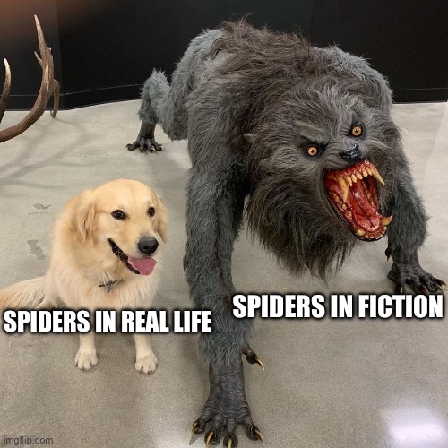All people should love spiders | Spiders in fiction; Spiders in real life | image tagged in good dog scary dog,myth,spiders | made w/ Imgflip meme maker