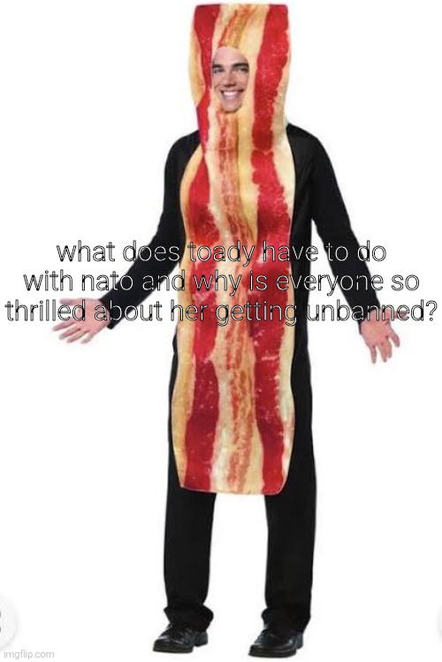 am bacon | what does toady have to do with nato and why is everyone so thrilled about her getting unbanned? | image tagged in bacon suit | made w/ Imgflip meme maker