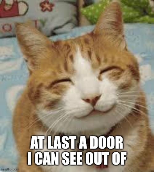 At last a door I can see out of | image tagged in happy cat | made w/ Imgflip meme maker