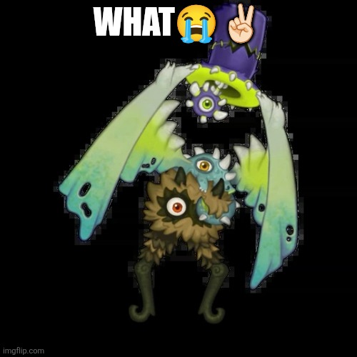 Minor Scallyrags (fixed) | What?✌? | image tagged in minor scallyrags fixed | made w/ Imgflip meme maker