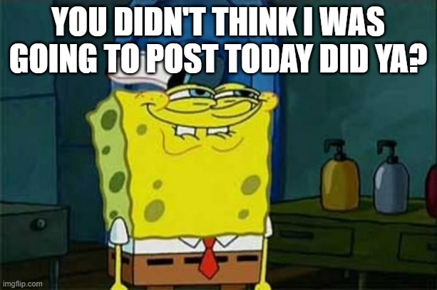 you like krabby patties | you didn't think I was going to post today did ya? | image tagged in you like krabby patties | made w/ Imgflip meme maker