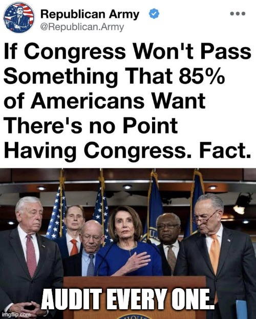 The Libtard Look | Audit Every One. | image tagged in the libtard look | made w/ Imgflip meme maker