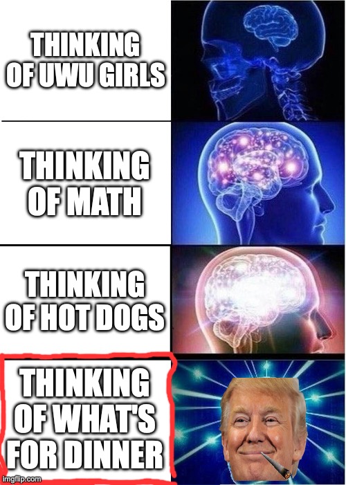 Expanding Brain Meme | thinking of uwu girls; thinking of math; thinking of hot dogs; thinking of what's for dinner | image tagged in memes,expanding brain | made w/ Imgflip meme maker