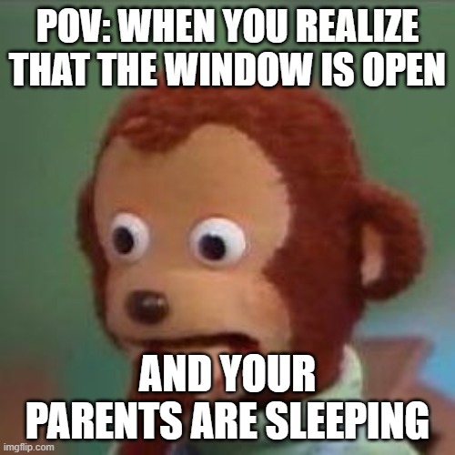 shoked monkey | POV: when you realize that the window is open; And your parents are sleeping | image tagged in shoked monkey | made w/ Imgflip meme maker