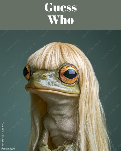 Guess Who | made w/ Imgflip meme maker