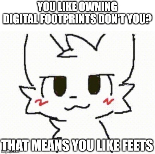you like kissing boys | You like owning digital footprints don't you? That means you like Feets | image tagged in you like kissing boys | made w/ Imgflip meme maker