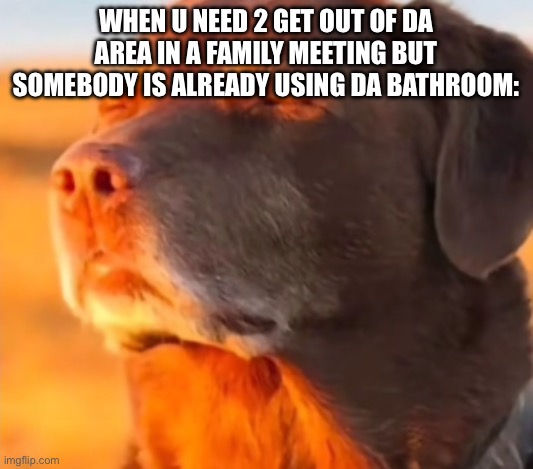 Dog Taking Sun with Closed Eyes | when u need 2 get out of da area in a family meeting but somebody is already using da bathroom: | image tagged in dog taking sun with closed eyes | made w/ Imgflip meme maker