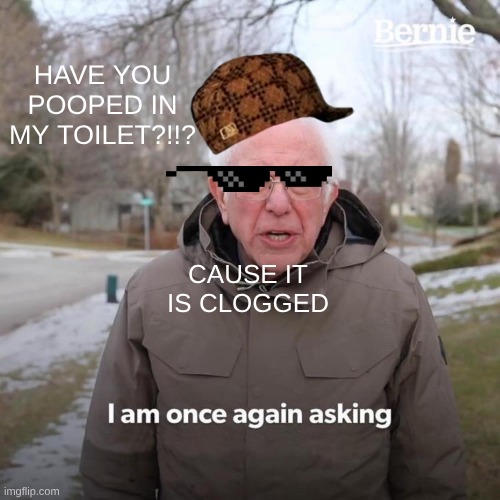 Bernie I Am Once Again Asking For Your Support | HAVE YOU POOPED IN MY TOILET?!!? CAUSE IT IS CLOGGED | image tagged in memes,bernie i am once again asking for your support | made w/ Imgflip meme maker