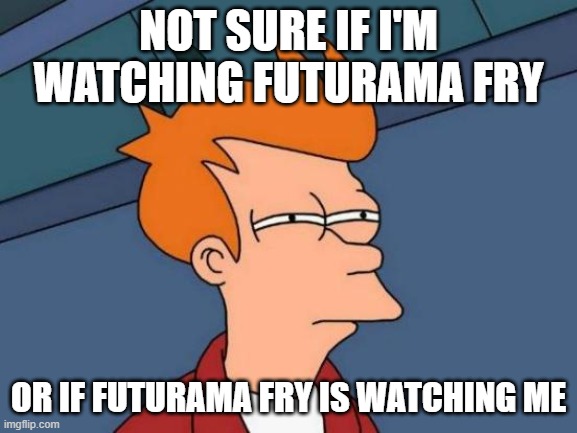 Futurama Fry | NOT SURE IF I'M WATCHING FUTURAMA FRY; OR IF FUTURAMA FRY IS WATCHING ME | image tagged in memes,futurama fry | made w/ Imgflip meme maker