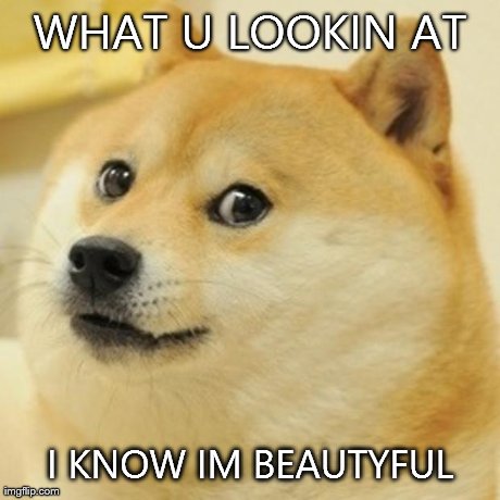 Doge Meme | WHAT U LOOKIN AT I KNOW IM BEAUTYFUL | image tagged in memes,doge | made w/ Imgflip meme maker