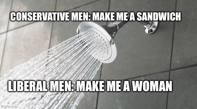 No ur not a woman lol | Conservative men: make me a sandwich; Liberal men: make me a woman | image tagged in make me a sandwich,lgbtq | made w/ Imgflip meme maker