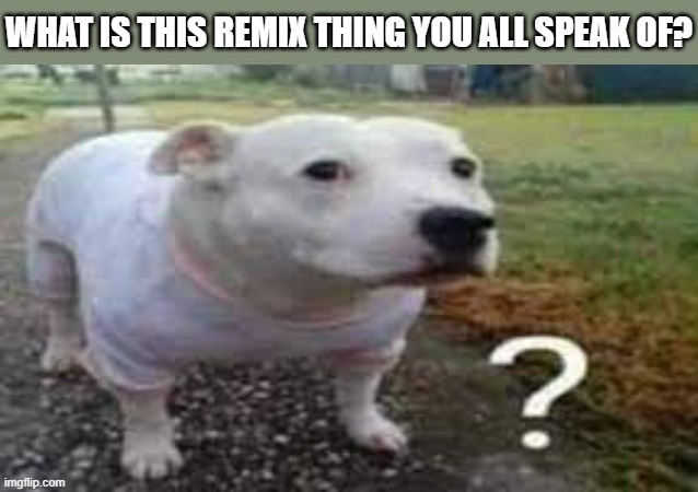 what the helly | what is this remix thing you all speak of? | image tagged in dog question mark | made w/ Imgflip meme maker