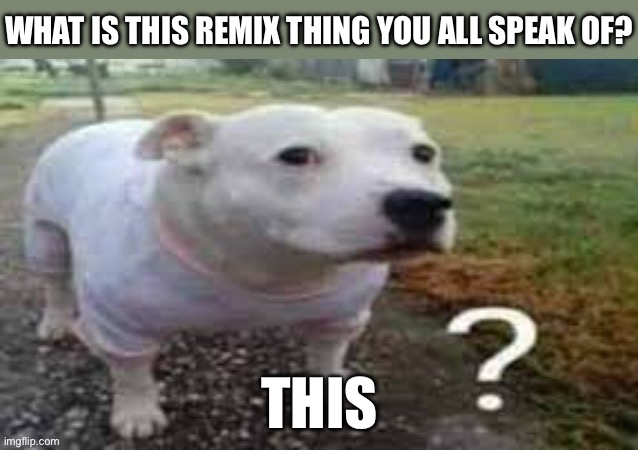 Dog question mark | what is this remix thing you all speak of? this | image tagged in dog question mark | made w/ Imgflip meme maker