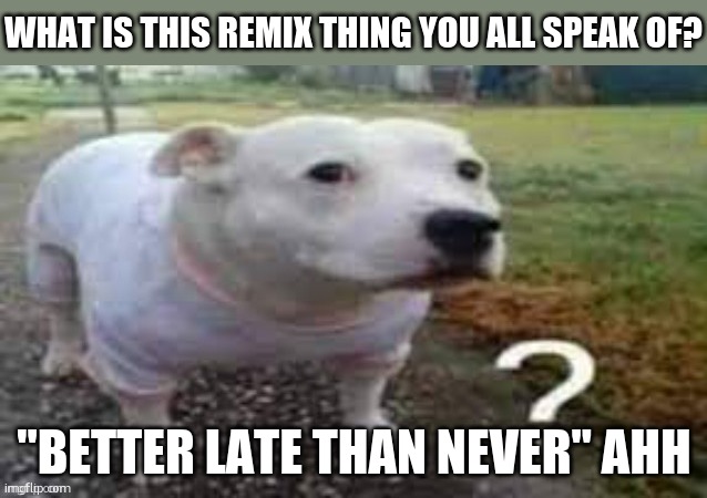 Dog question mark | what is this remix thing you all speak of? "better late than never" ahh | image tagged in dog question mark | made w/ Imgflip meme maker