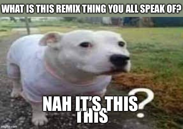 Dog question mark | what is this remix thing you all speak of? Nah it’s this; this | image tagged in dog question mark | made w/ Imgflip meme maker