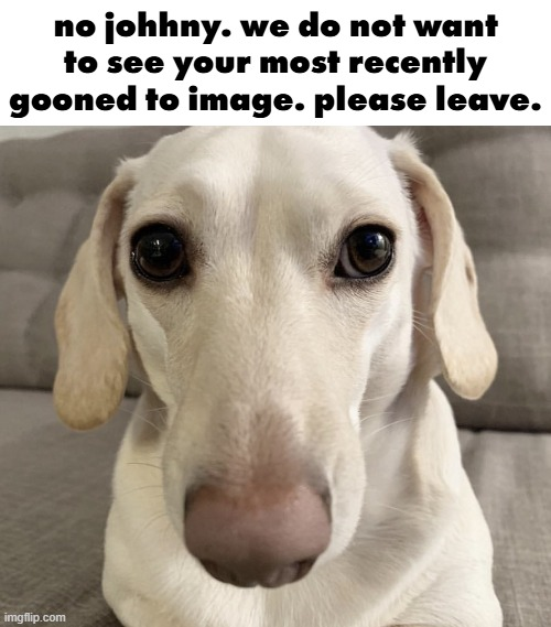 no johnny Blank Meme Template