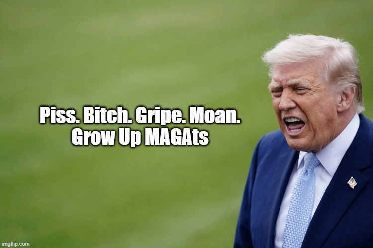 Piss. Bitch. Gripe. Moan. | Piss. Bitch. Gripe. Moan.
Grow Up MAGAts | image tagged in maga,magats,trump | made w/ Imgflip meme maker